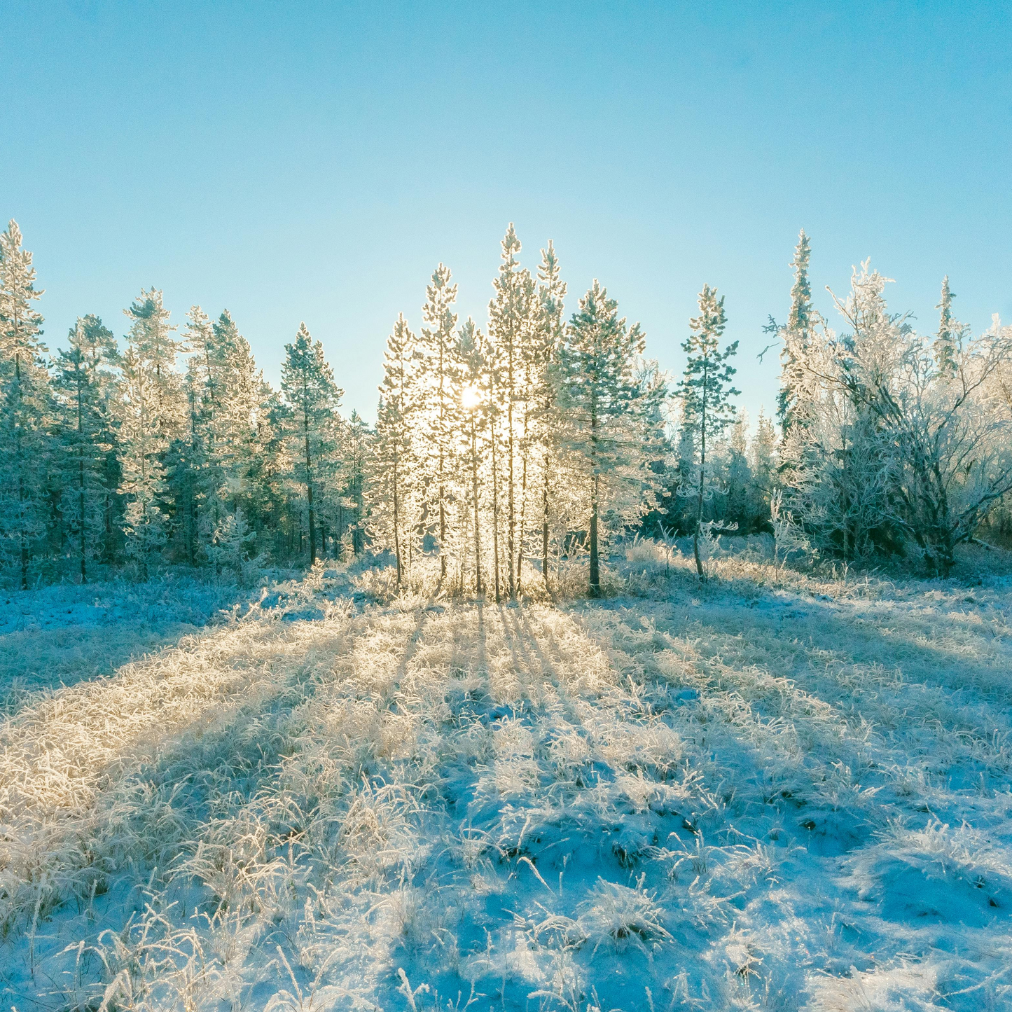 Winter Day Retreat